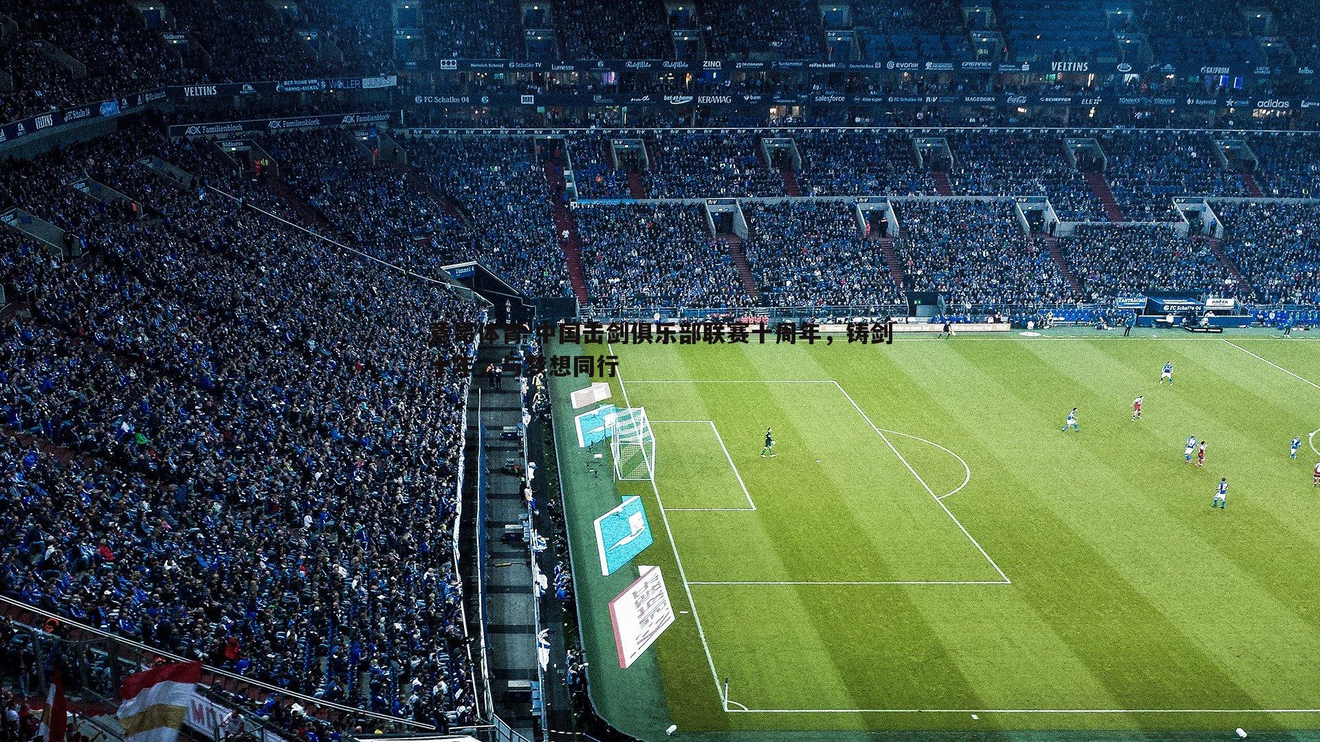 中国击剑俱乐部联赛十周年,铸剑十年,与梦想同行